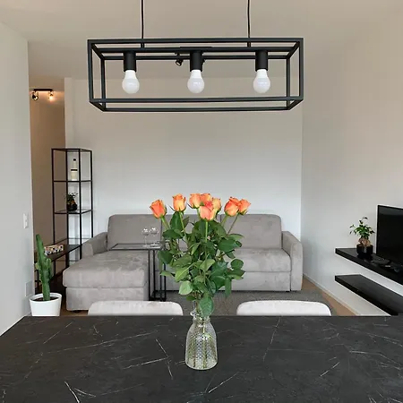 Live - Via Massagno Appartement *